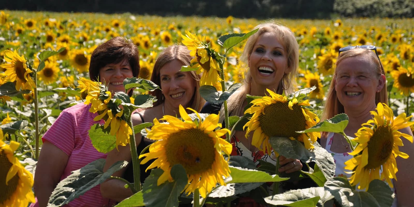 Wine & Cooking Under the Tuscan and Umbrian Sun - Wine Harvest Season
