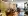 mio_room1.webp