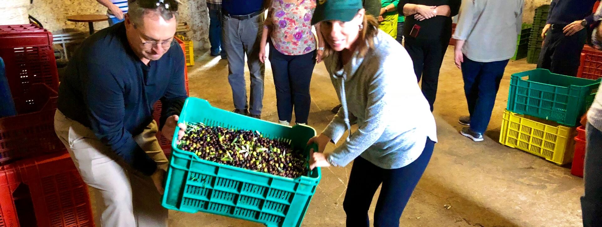 Bringing Olives to the Mill