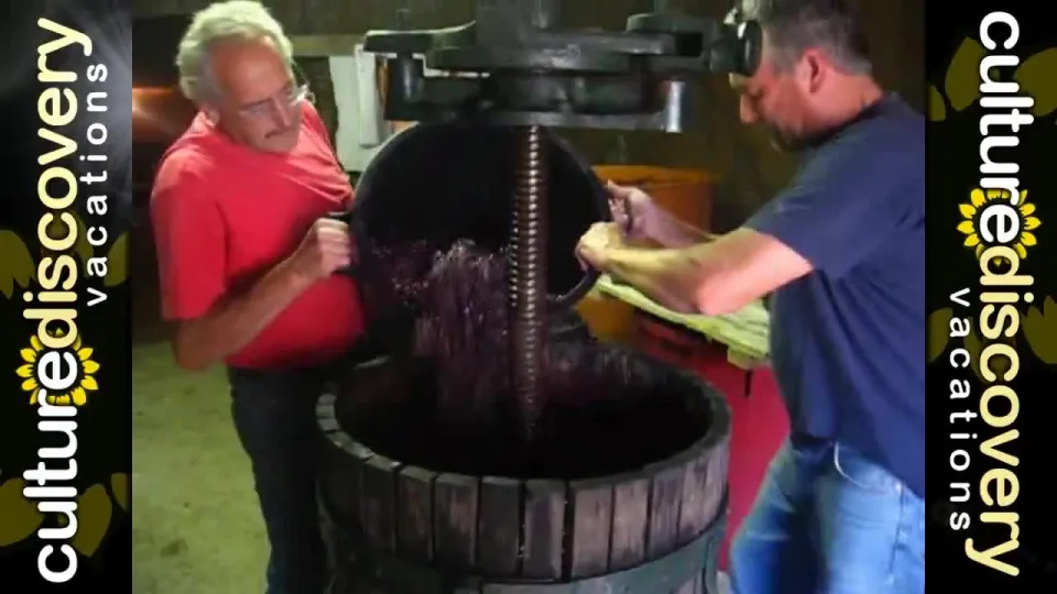 The 2007 Wine Harvest